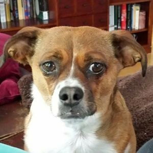 Meet your Posher, Janet